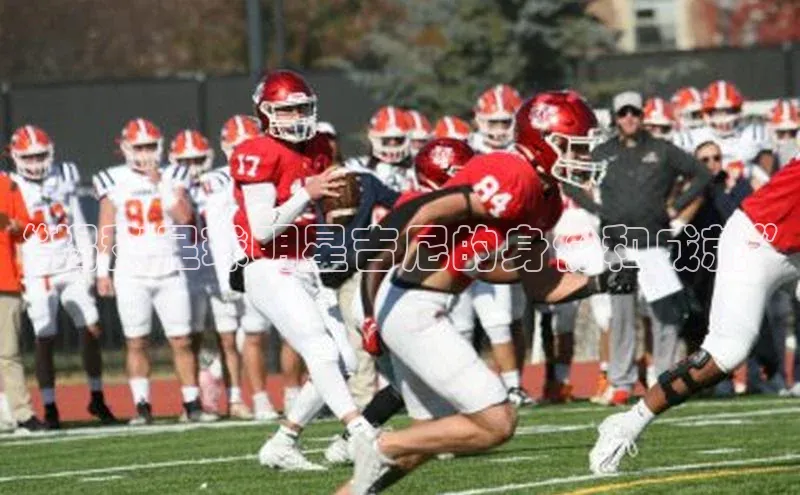 欧陆登录网址一径科技“揭秘足球明星吉尼的身份和成就”