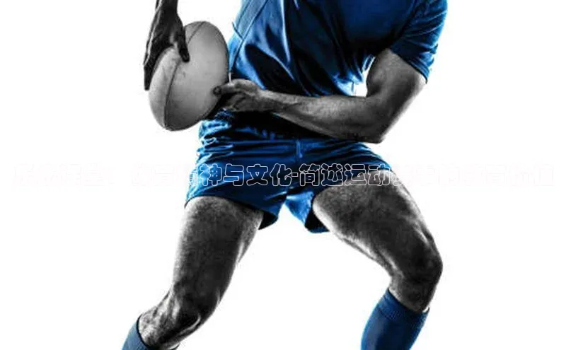 欧陆注册手机版百度网盘企业版乐乐课堂：体育精神与文化-简述运动赛事的教育价值