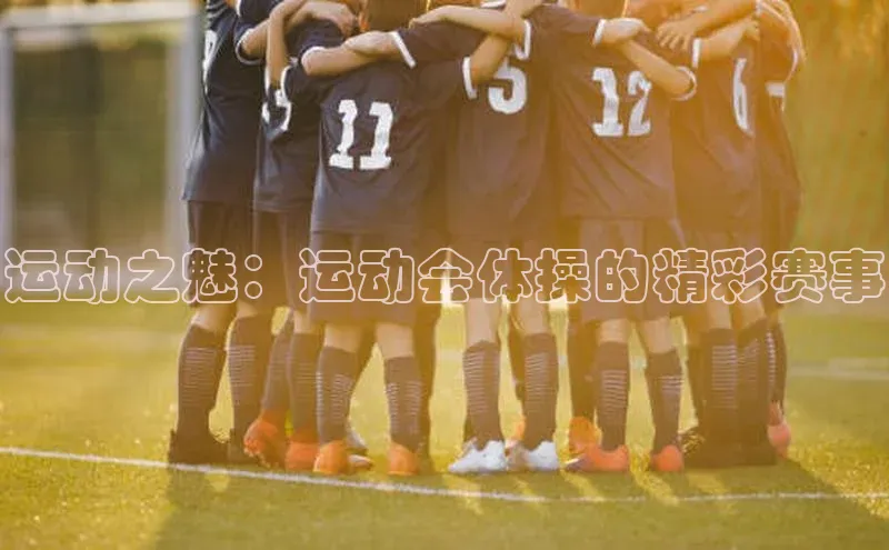 欧陆注册登录入口2024赛富乐斯运动之魅：运动会体操的精彩赛事