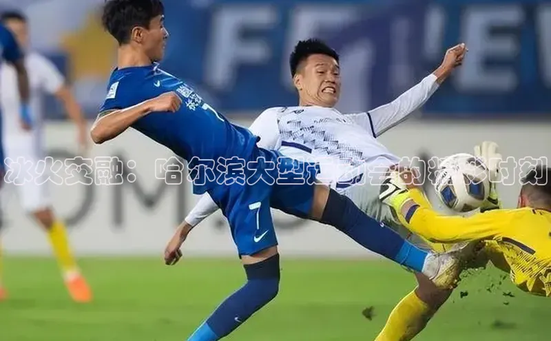 欧陆平台网站京东冰火交融：哈尔滨大型运动会的精彩时刻