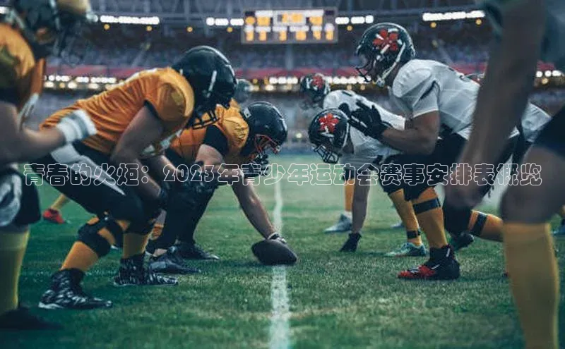 青春的火炬：2023年青少年运动会赛事安排表概览