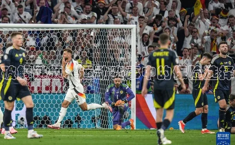 破解谜题：运动赛事中的保险选择