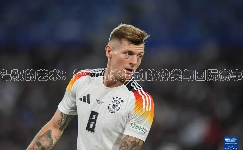 驾驭的艺术：探讨马术运动的种类与国际赛事