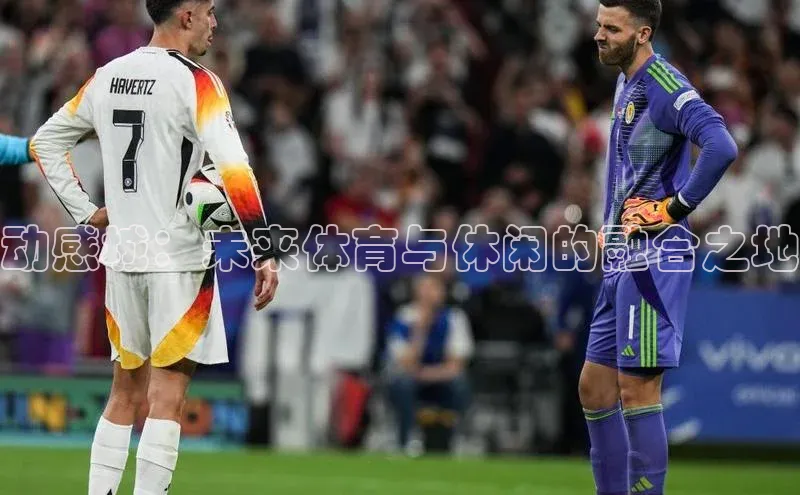 动感城：未来体育与休闲的融合之地