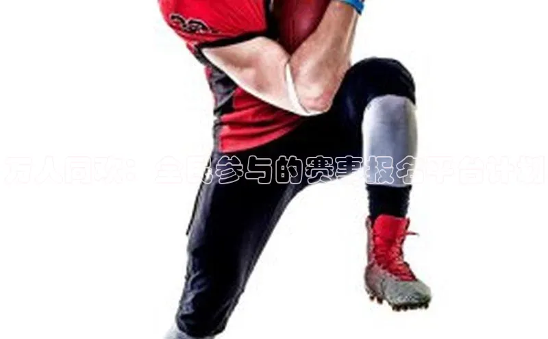 万人同欢：全民参与的赛事报名平台计划