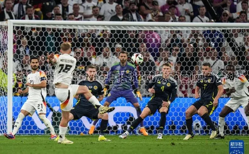 突破极限：2024年重要运动赛事回顾与分析