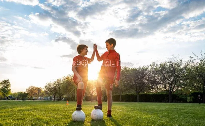 荣耀时刻的象征：运动会中令人瞩目的颁奖奖杯设计与历史传承