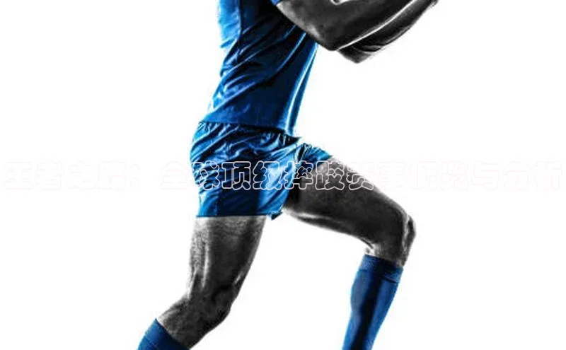 王者之路：全球顶级摔跤赛事概览与分析