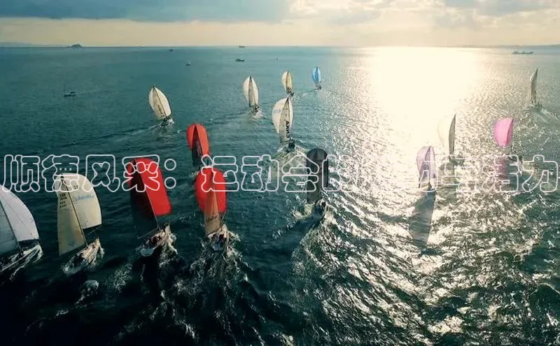 顺德风采：运动会的魅力与活力