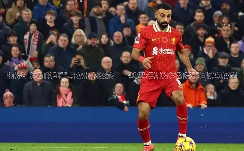 欧陆娱乐平台app下载安装